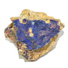 Asuriidi kobar 006