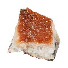 Tsitriini kobar 019