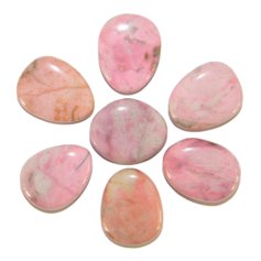 Rodoniidist lapik kivi (1 tk)